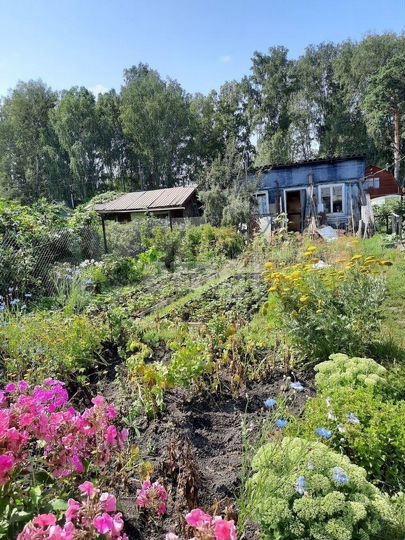 Дача 40 м² на участке 4 сот.