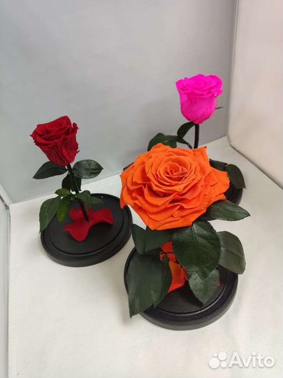 Роза в колбе оптом и в розницу