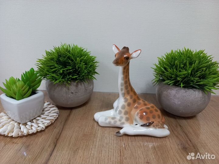 Анималистика (животные) лфз