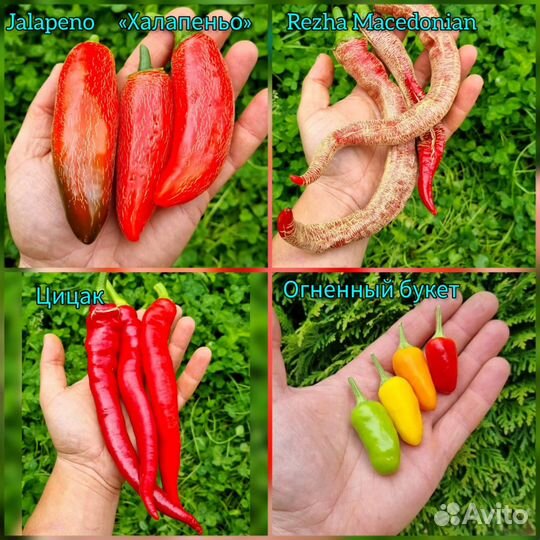 Семена сверхострого перца Carolina Reaper и другие