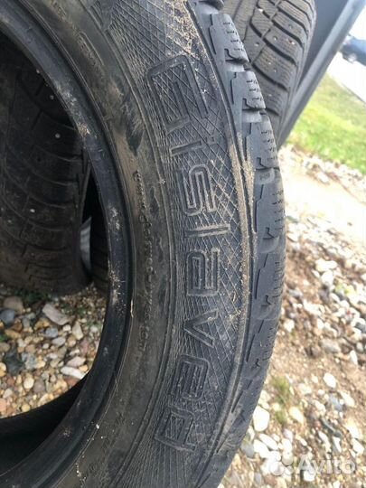 Gislaved Nord Frost 5 205/60 R16