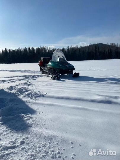 Снегоход рысь