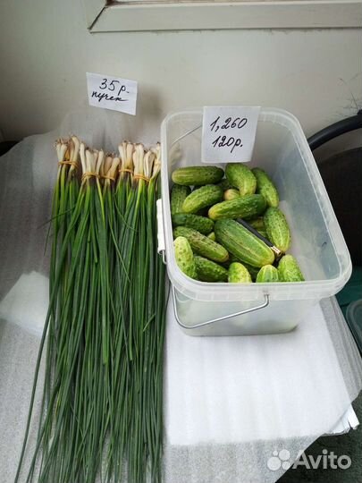 Огурцы свежие, грунтовые, кабачки