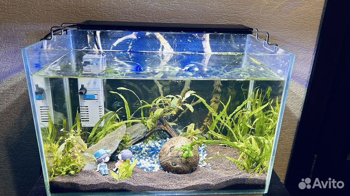 Аквариум
