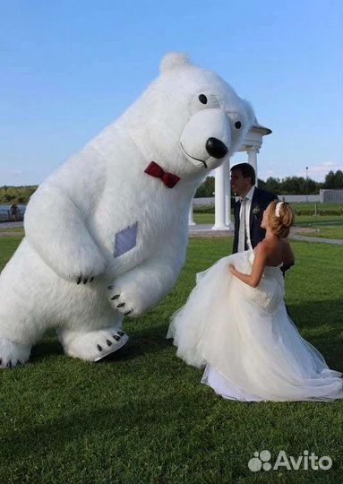 Белый медведь на мероприятие или поздравим с празд
