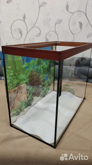 Аквариум