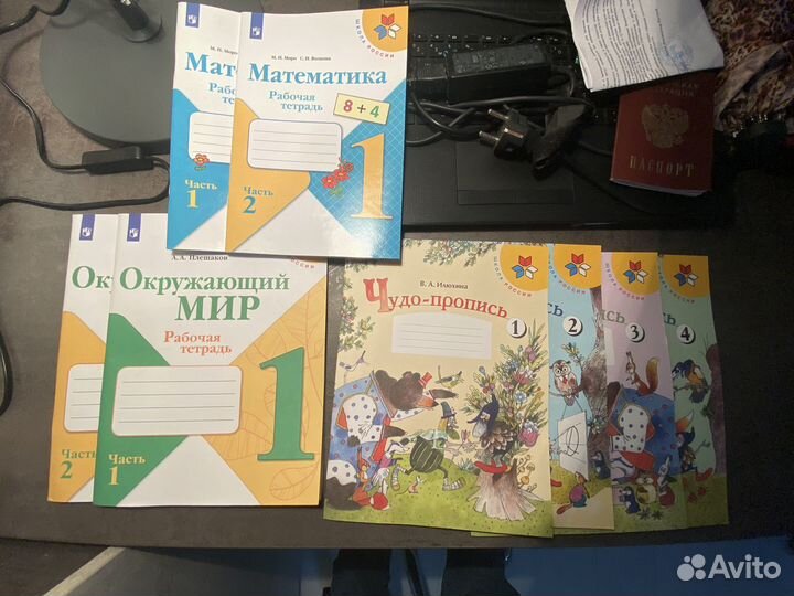 Рабочие тетради 1 класс школа россии