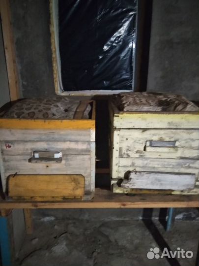 Ульи для пчел