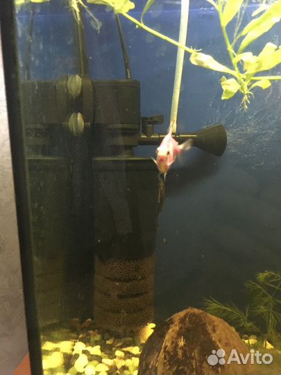 Аквариум Aquael панорамный 115 л