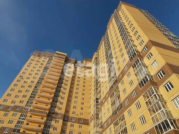 1-к. квартира, 43,7 м², 4/24 эт.