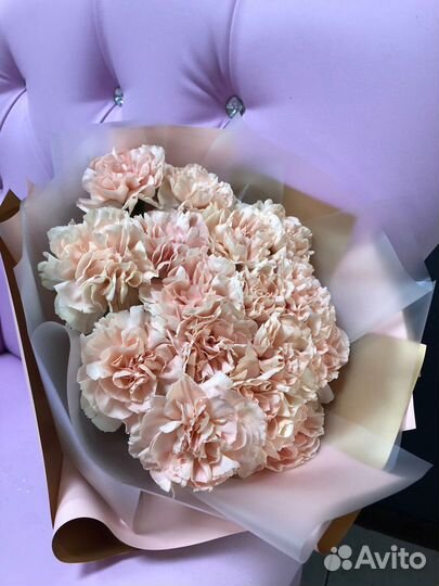 Доставка 46-10-00. 15 кремовых диантусов упаковке