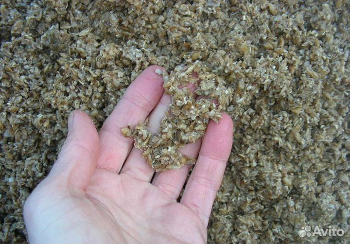 Корм для животных