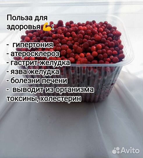 Брусника свежая