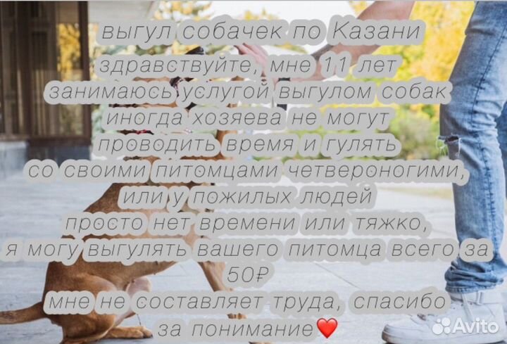 Выгул собачек