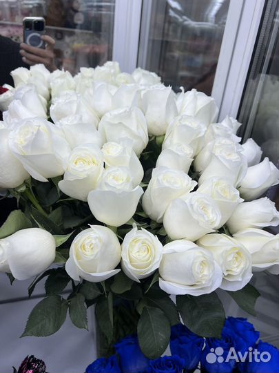 Розы 50 см Эквадор