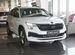 Новый Skoda Kodiaq 2.0 AMT, 2024, цена 5249900 руб.