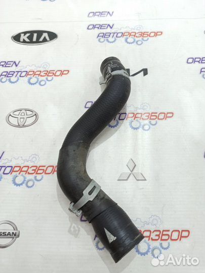 Патрубок радиатора Nissan Note 1.6 HR16 2013