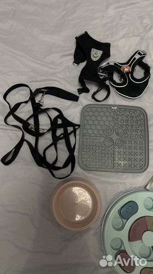 Аксессуары для собак