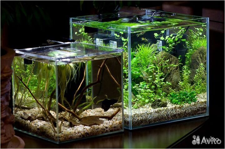 Аквариум куб 4.5 литра