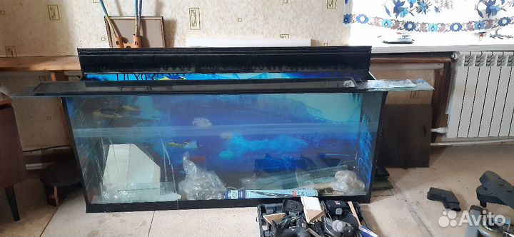 Аквариум