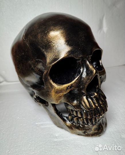Череп декоративный