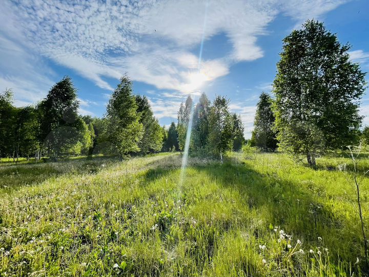 Участок 10 сот. (ИЖС)