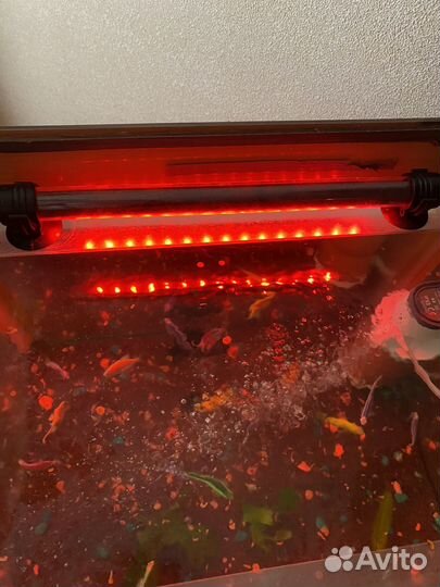 Аквариум с рыбками