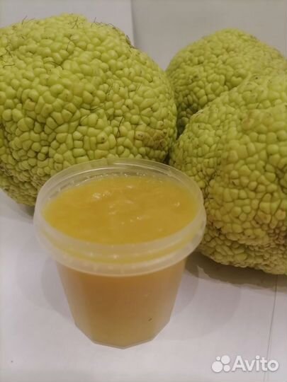 Мазь маклюра