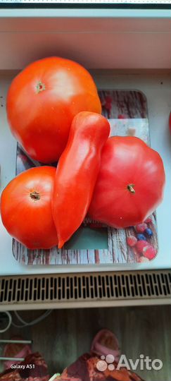 Семена овощей И цветов