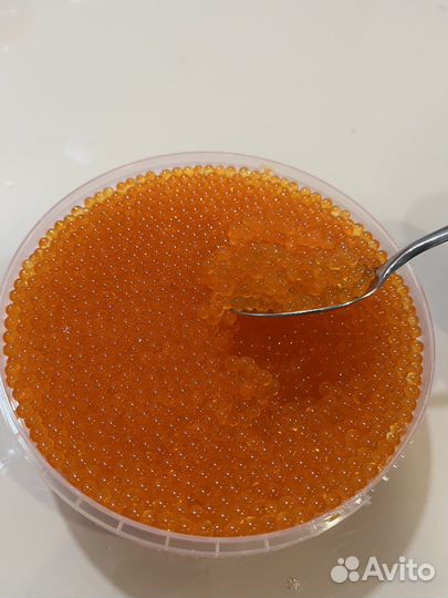 Красная Икара (Форель)