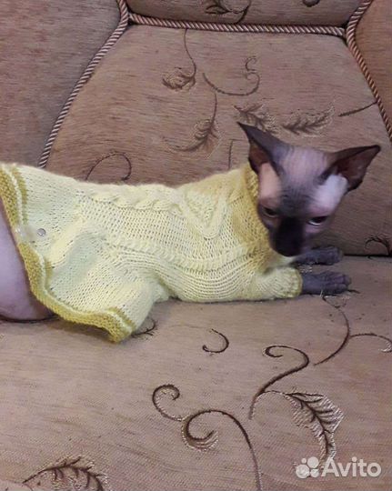 Вязанная одежда для мелких пород собак и кошек