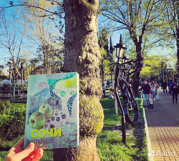 Книга Сочи на вкус