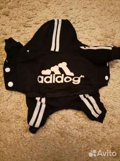 Одежда для маленьких собак