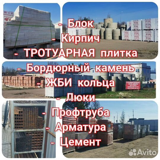 Грас стеновой, перегородочный