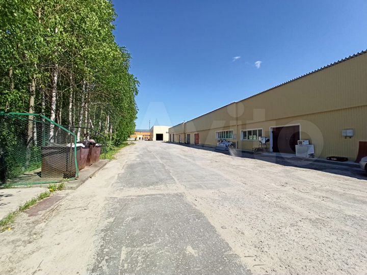 Участок 4,6 га (промназначения)