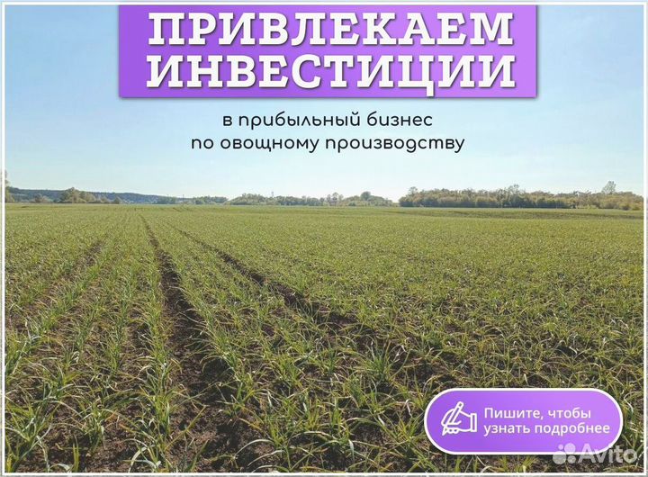 Прибыльный бизнес пассивный доход