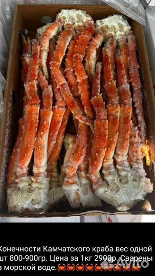 Рыба, икра, морепродукты