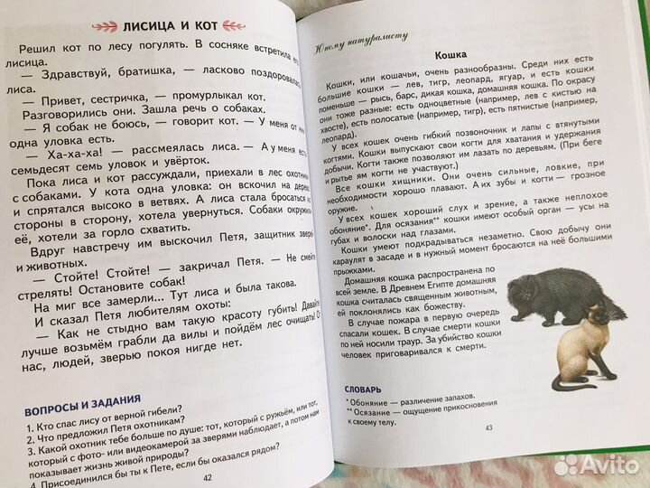 Книжки детские. Учебное пособие