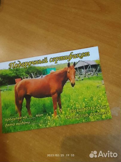 Конные прогулки