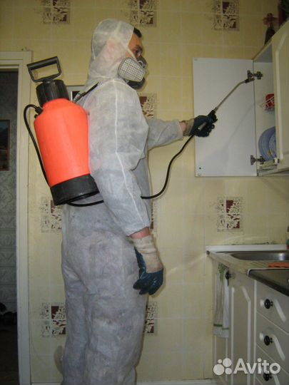 Дезинфекция