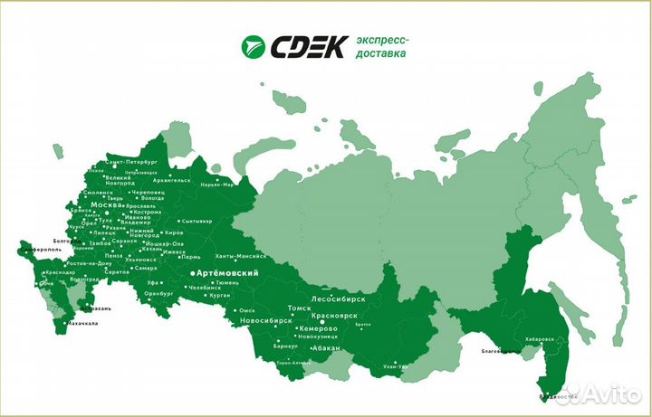 Роза миниатюрная Гранатовый браслет - саженцы зкс