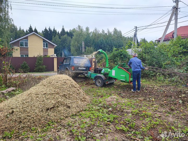 Измельчитель веток аренда. Дробилка. Расчистка