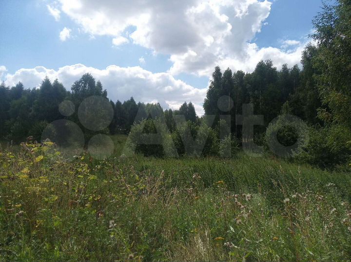 Участок 31 сот. (СНТ, ДНП)