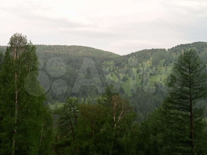 Участок 39,4 га (СНТ, ДНП)