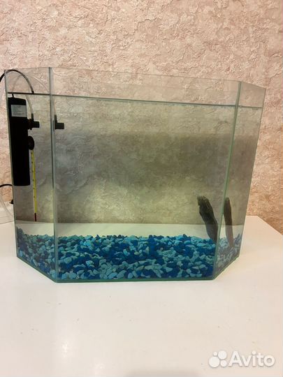 Аксолотль с аквариумом