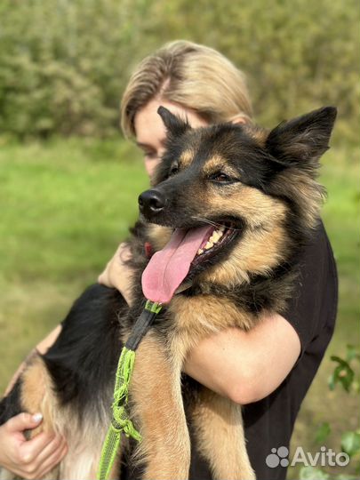 Миниатюрной бывшедомашней Грете плохо в приюте