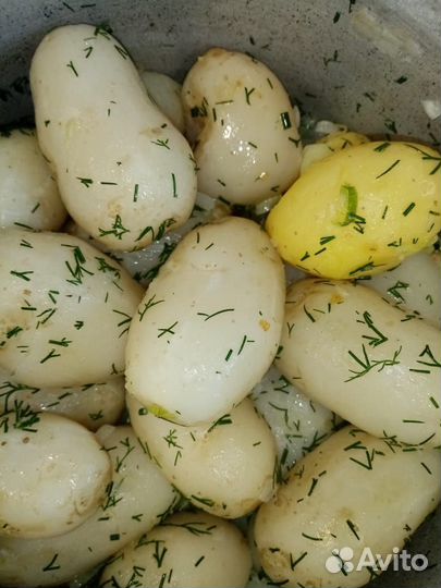 Продам картофель