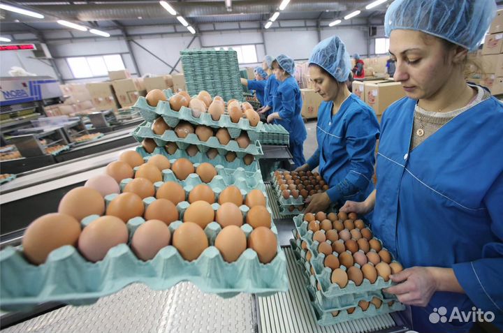 Оператор линии конвейера. Вахта с проживанием