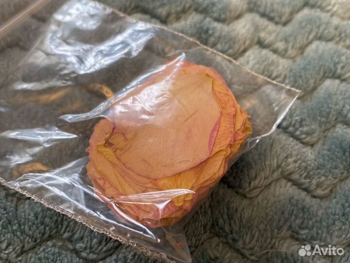 Сушённые листья пиона для ручной работы tie-dye