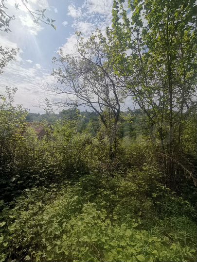 Участок 5,9 сот. (СНТ, ДНП)